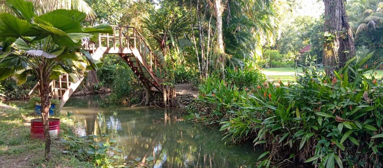 Casa Caribe Hotel نهر دولسي المظهر الخارجي الصورة